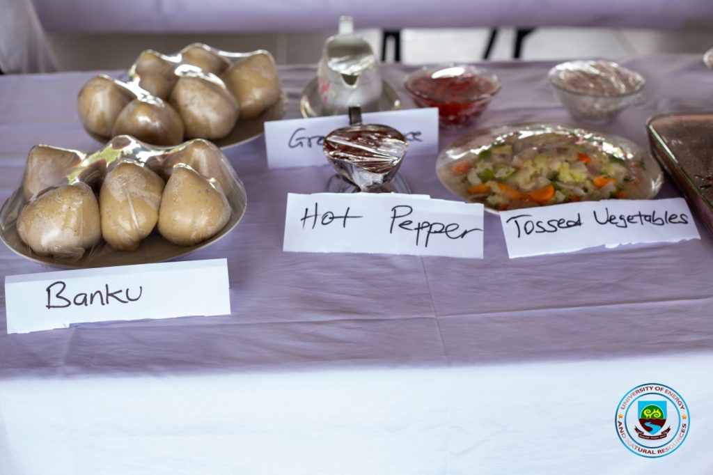 Department of Ecotourism2