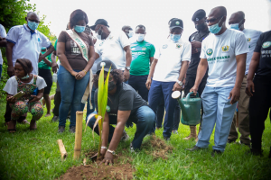 UENR HOST BONO REGIONAL VERSION OF GREEN-GHANA PROJECT The national tree planting exercise dubbed “Green Ghana Project”, an initiative which is being championed by the government of Ghana with support from the Forestry Commission and the Ministry of lands and natural resources, to plant trees as part of efforts to preserve the environment was launched at the University of Energy and Natural Resources (UENR) at the main campus of the University in Sunyani. The event saw in attendance the Vice-Chancellor of the University, Prof. Elvis Asare Bediako, The Bono regional minister, Hon. Justina Owusu Banahene, the Regional Manager of Forest Services, Mr. Isaac Nobel Eshun, reps of traditional leaders, heads of security agencies, heads of sister tertiary institutions in the region, staff and students of the university. Giving the welcome address Prof. Elvis Asare-Bediako outlined the contribution of the university to the region, in the area of afforestation, stating that the university has presented over 27,000 to the forestry department for onward distribution. “It is not a coincidence that the UENR was chosen as the venue for the launch because taking in into consideration the nationwide goal to plant 5 million trees in a day, which has been subsequently broken down to 250,000 trees to be planted for Bono Region. I am glad to inform you that UENR has presently over 27,000 seedlings which have been offered to the Forestry Department for onward distribution” he noted. With regards to the nurturing and maintenance of the trees, the Vice-Chancellor added that a monitoring and evaluation team will be set up by the university in collaboration with the Forestry Commission. He assured saying “I promise that the University in conjunction with the Forestry Commission is to ensure that these trees are nurtured. We’re also going to train and educate farmers as well, that will have the chance to be given some of these trees, so we want to assure you that these trees nurtured.” Vice-Chancellor (UENR), Prof. Elvis Asare-Bediako The Regional Forestry Manager, Mr. Isaac Noble Eshun addressing guests on the purpose of gathering stated the need for the creation of an enhanced national awareness on the necessities of collective action. He added that the project will go a long way to green and beautify our communities and towns, and also inculcate in the youth the values of planting and nurturing trees and the associated benefits. The Regional Forestry Manager, Mr. Isaac Noble Eshun The Bono Regional Minister; Hon. Justina Owusu Banahene in her address outlined some dangers in the cutting down of trees on our environment and called on all gathered to take up tree planting as a responsibility to safeguard our natural environment, our health, and our economy. The Bono Regional Minister; Hon. Justina Owusu Banahene The national Let’s Go Planting campaign is targeted at planting 5 million trees a day to restore our fast depleting forests.