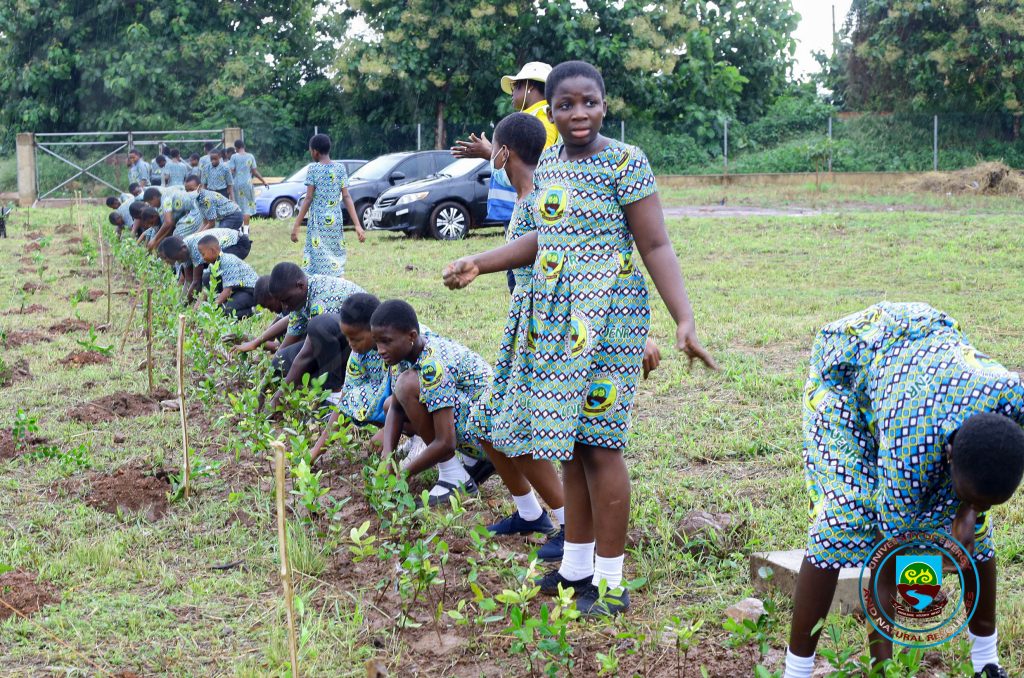 UBS AT GREEN GHANA 22 UBS AT GREEN GHANA 22