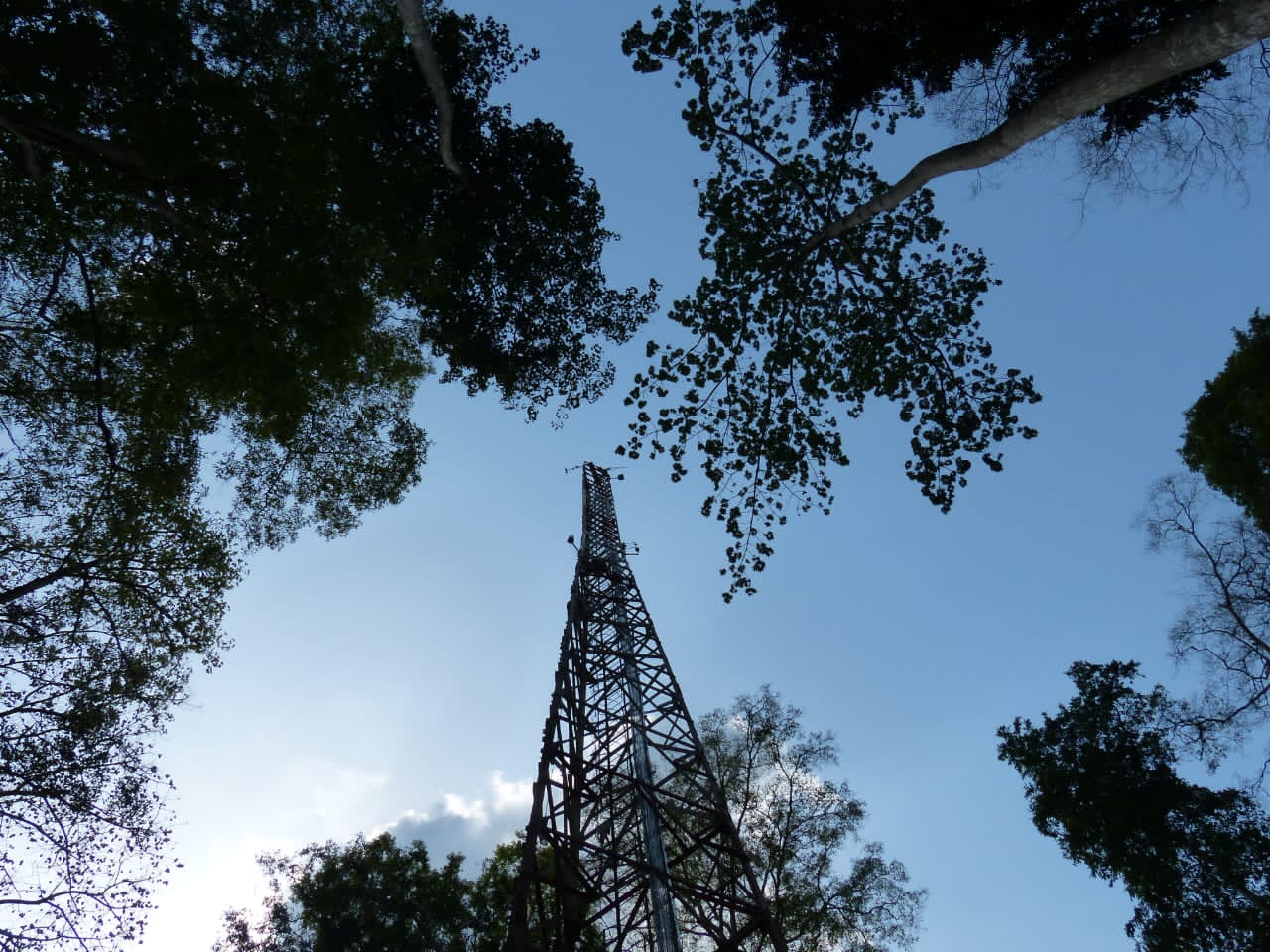 WhatsApp Image 2023 03 10 at 10.08.03 AM 3